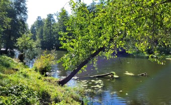 starorzecze Bugu
