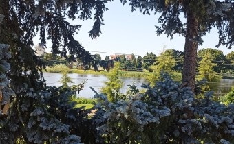 widok z tarasu